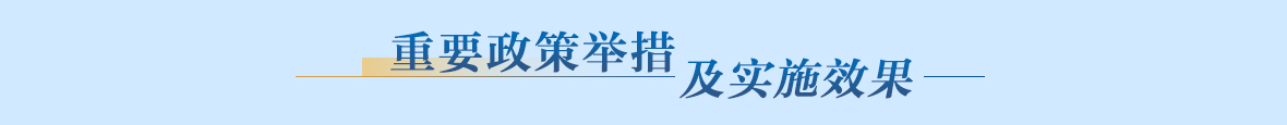 重要政策举措及实施效果